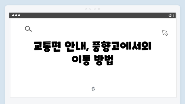 2024 베트남 여행 필수 정보 - 풍향고 완전정복