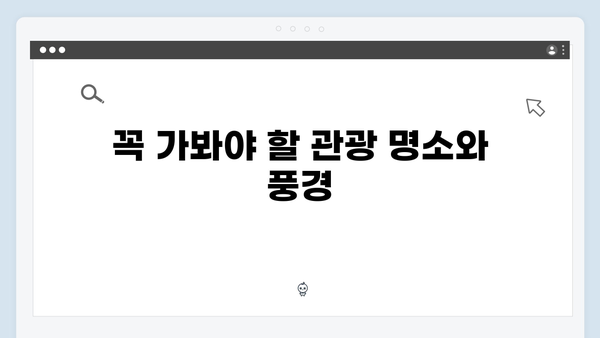 풍향고 촬영지 따라 떠나는 2024 인기 베트남 여행 코스 소개!