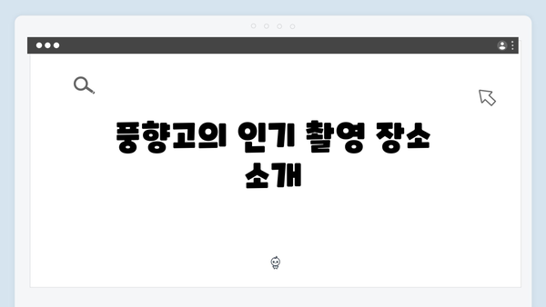 사파 포토존 완벽 가이드 - 풍향고 멤버들의 촬영 스팟