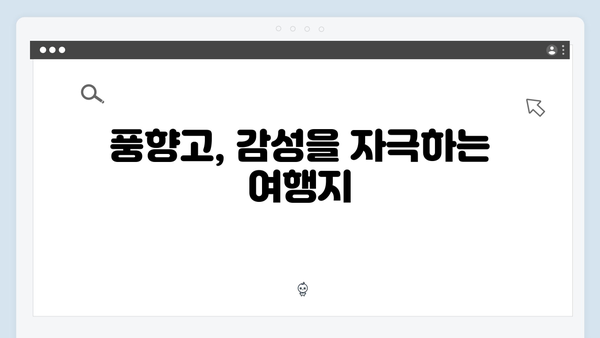 하노이 야경부터 사파 자연까지, 풍향고 따라가는 감성여행 코스 추천!