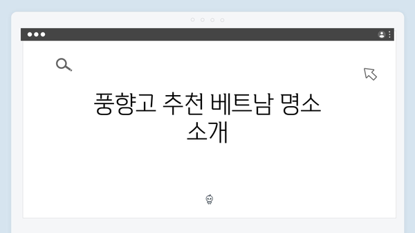 2024 베트남 여행 필수 정보 - 풍향고 멤버들의 여행 팁
