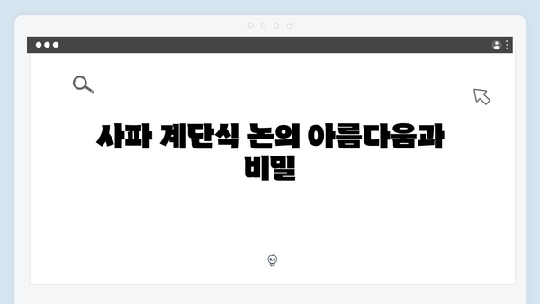사파 계단식 논 투어 가이드 - 풍향고 멤버들의 인생샷 포인트