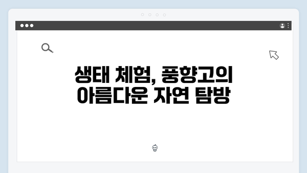 2024 베트남 여행 인기 액티비티 - 풍향고 체험 리스트