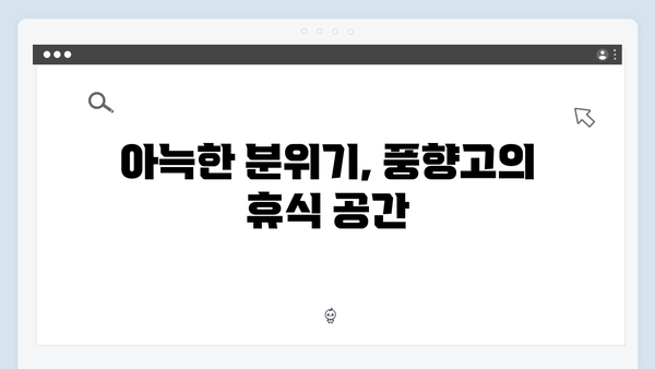하노이 카페 명소 - 풍향고 멤버들의 휴식 공간