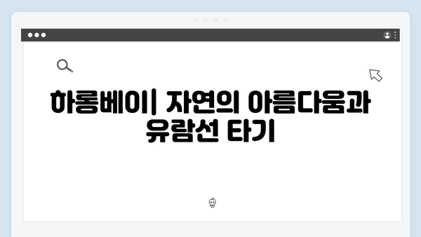 [베트남 핫플] 하롱베이에서 사파까지 - 풍향고 멤버들의 필수 코스