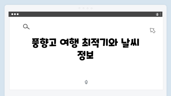 2024 베트남 여행 필수 정보 - 풍향고 완전정복