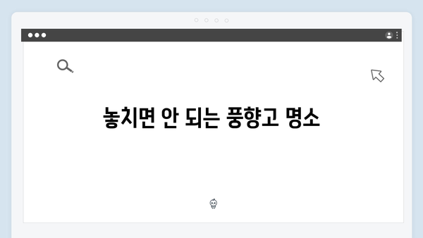 2024 베트남 여행 꿀팁 - 풍향고 완벽 가이드