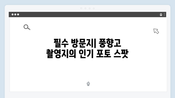 2024 베트남 여행 인기 명소 - 풍향고 촬영지 따라가기