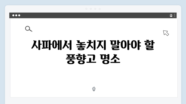 사파 트레킹 초보자도 가능한 코스 추천! 풍향고 촬영지 따라가기