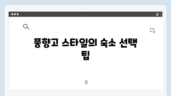 [베트남 여행] 한달 살기 완벽 가이드 - 풍향고 스타일 장기 체류