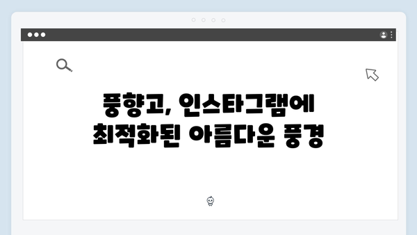 베트남 여행 인스타 스팟 - 풍향고 촬영 명소 모음