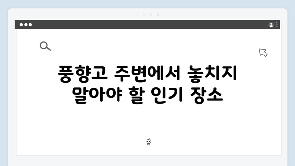 베트남 여행 인스타 스팟 - 풍향고 촬영 명소 모음