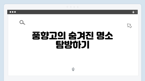 2024 베트남 여행 인기 액티비티 - 풍향고 체험 리스트
