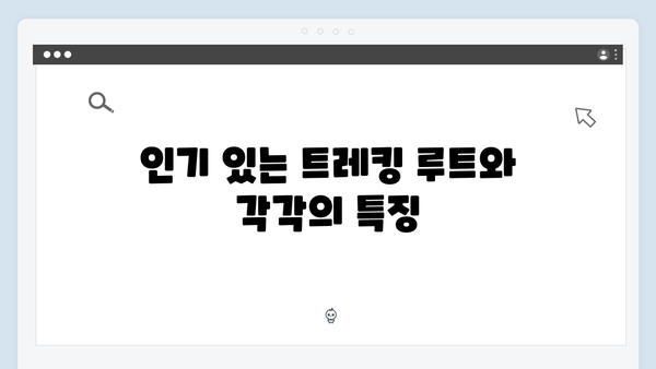[2024 베트남] 사파 마을 트레킹 코스 완벽 정리