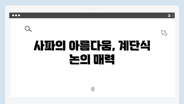 사파 계단식 논 투어 - 풍향고 멤버들의 감동 스팟