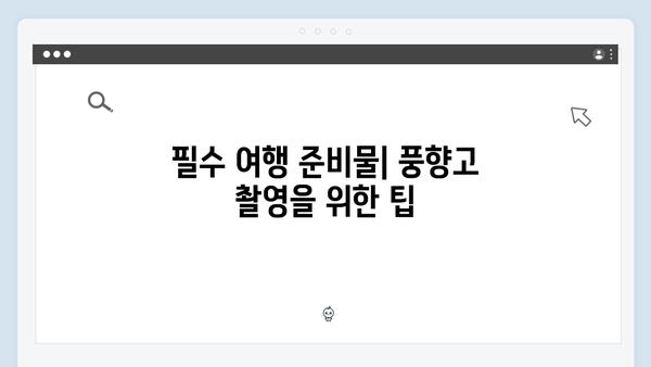 2024 베트남 여행 필수 정보, 풍향고 촬영지 따라하기