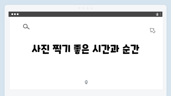 [사파 풍경] 새벽 운무부터 일몰까지 - 풍향고 포토스팟