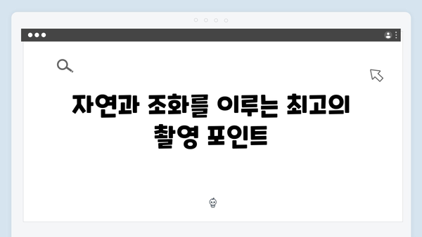 [사파 풍경] 새벽 운무부터 일몰까지 - 풍향고 포토스팟