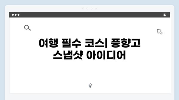 2024 베트남 여행 계획 중이라면? 풍향고 촬영지부터 시작하세요!