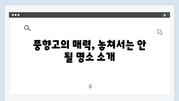 2024 베트남 여행 필수 정보 - 풍향고 완전정복