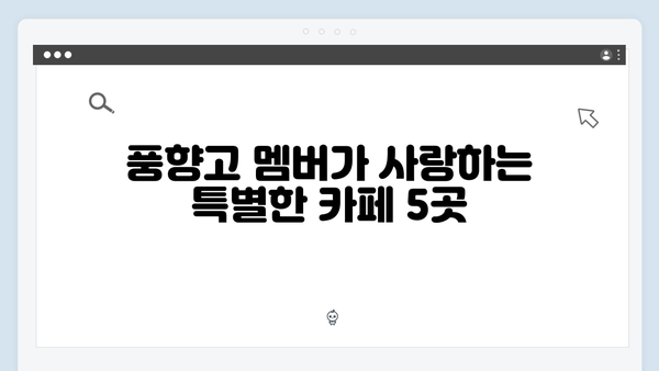 풍향고 멤버들이 추천하는 하노이 카페 투어 BEST 5 장소 공개!