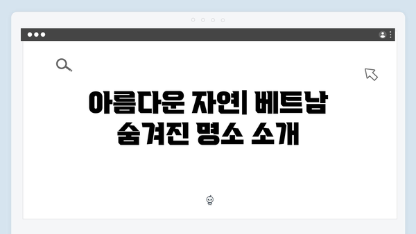 황정민 리더의 베트남 여행 꿀팁 대방출