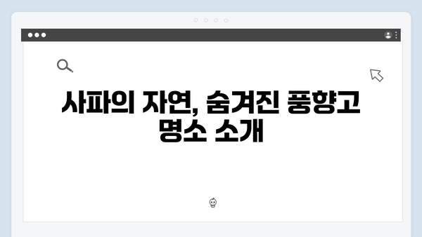 하노이부터 사파까지 완벽 정복! 풍향고 촬영지를 찾아 떠나는 여정