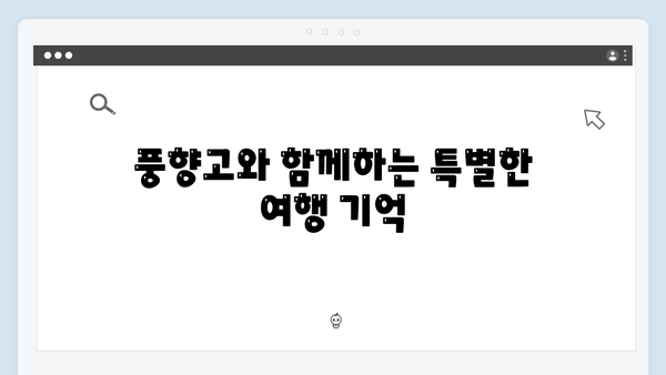 [하노이 여행] 풍향고 멤버들의 포토스팟 완벽 정리