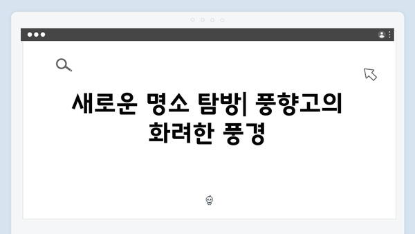2024 베트남 여행 신상 - 풍향고에서 발견한 새로운 명소