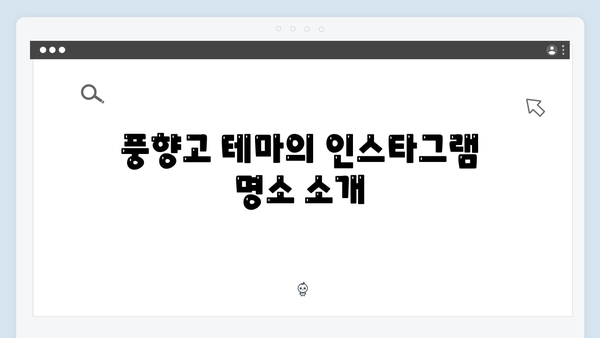 2024 베트남 여행 트렌드 - 풍향고 스타일 따라잡기