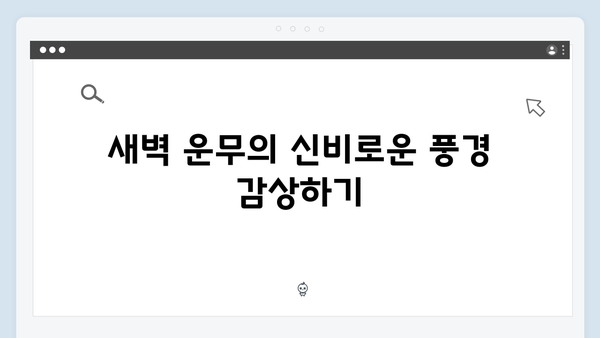 [사파 풍경] 새벽 운무부터 일몰까지 - 풍향고 포토스팟