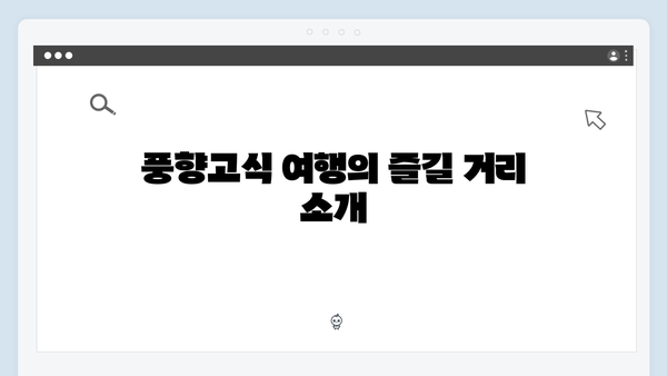 베트남 현지 문화체험 - 풍향고식 여행의 특별함