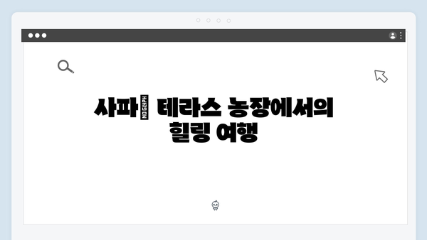 [베트남 핫플] 하롱베이에서 사파까지 - 풍향고 멤버들의 필수 코스