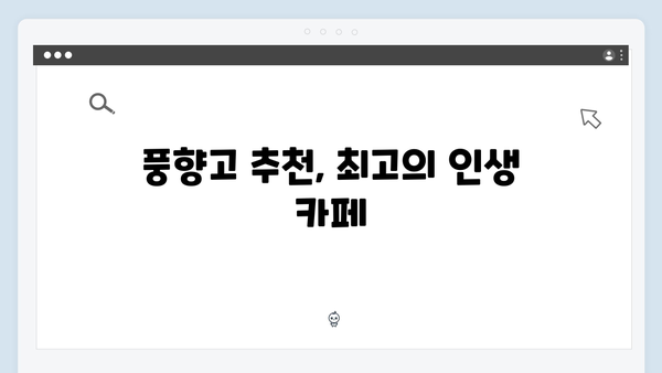 [하노이 카페] 풍향고 멤버들이 선택한 인생 카페 투어