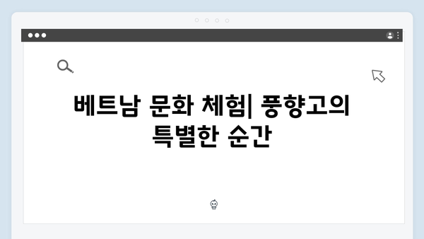 2024 최신 베트남 여행 정보, 풍향고 멤버들이 간 곳은?
