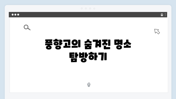 [사파 액티비티] 케이블카부터 트레킹까지 - 풍향고 체험 리스트