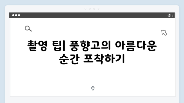 풍향고 촬영지 따라잡기! 하노이부터 사파까지 완벽 일정 추천