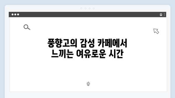 하노이 카페 투어 - 풍향고에서 공개된 감성 카페