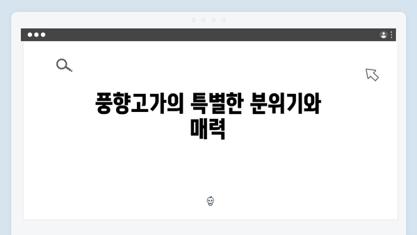 하노이 루프톱 바 - 풍향고가 선택한 야경 명소