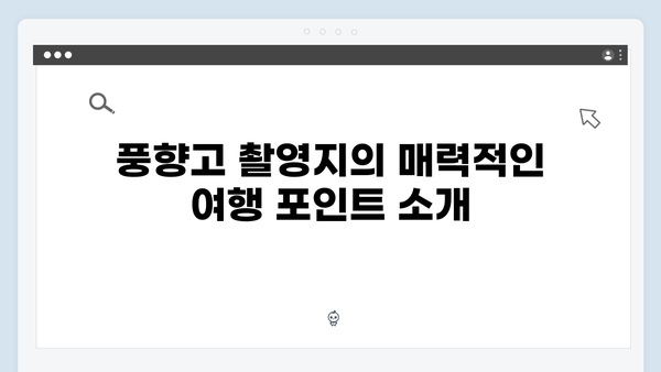 풍향고 촬영지로 본 2024년 베트남 트렌드 여행 코스 추천 리스트!