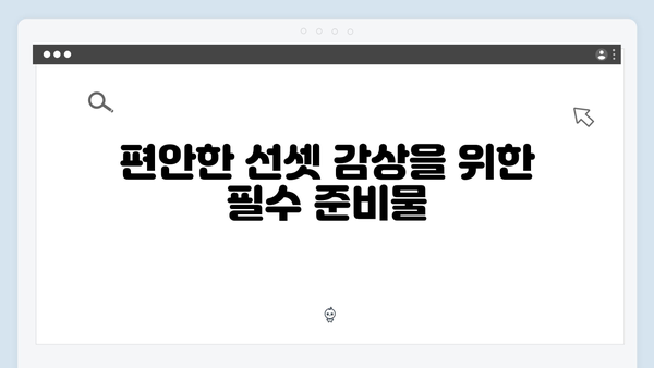 [2024 베트남] 사파 선셋 포인트 완벽 가이드