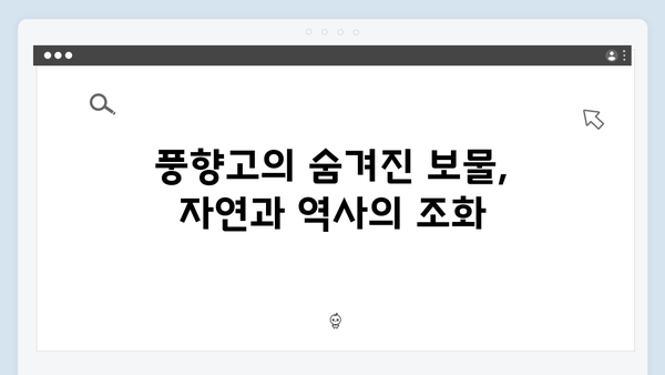 2024 베트남 여행 신상 - 풍향고에서 발견한 새로운 명소