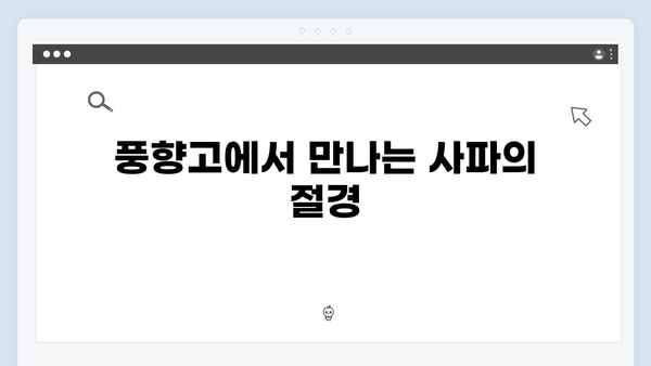 [사파 풍경] 새벽 운무부터 일몰까지 - 풍향고 포토스팟