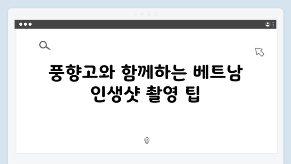[2024 베트남 핫플] 풍향고 멤버들의 인생샷 스팟 완벽 정리