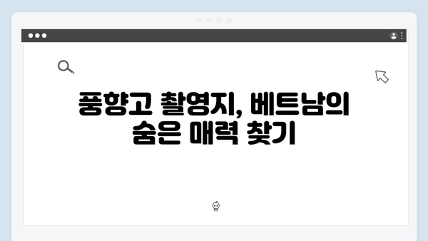 2024 베트남 여행 인기 명소 - 풍향고 촬영지 따라가기