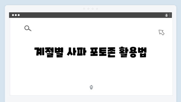 사파 포토존 완벽 가이드 - 풍향고 멤버들의 촬영 스팟