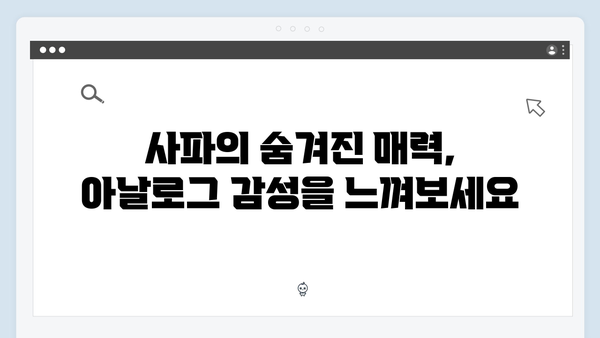 사파에서 만난 아날로그 감성, 유재석과 황정민처럼 떠나보자!