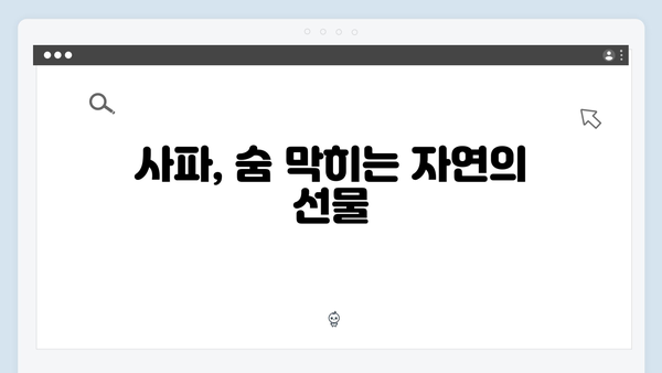 하노이 야경부터 사파 자연까지, 풍향고 따라가는 감성여행 코스 추천!