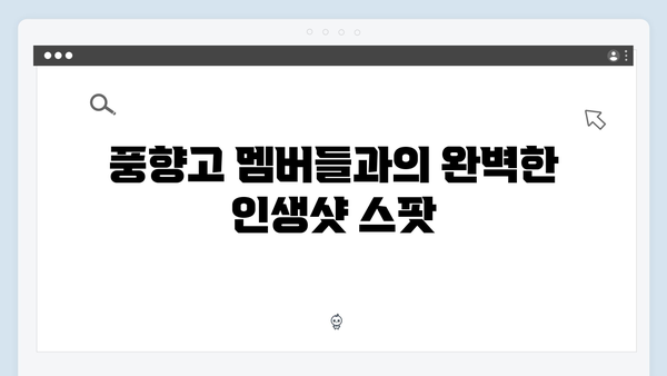 사파 계단식 논 투어 가이드 - 풍향고 멤버들의 인생샷 포인트