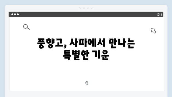 베트남 하노이와 사파를 잇는 야간열차 체험, 풍향고 따라잡기